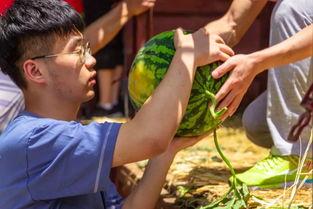 花臂老师吃瓜群,揭秘娱乐圈幕后故事