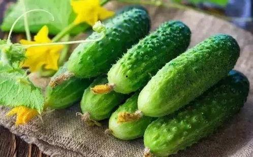 春吃春芽夏吃瓜