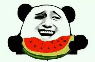 单身吃瓜,吃瓜群众眼中的酸甜苦辣