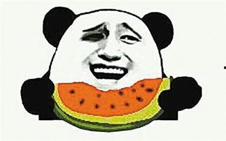 吃瓜群众为什么吃的是瓜,探寻瓜的诱惑与魅力