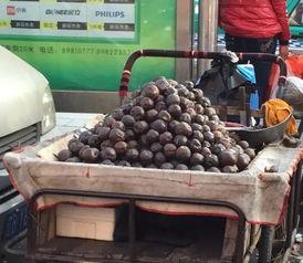 庄河理发吃瓜,一场别开生面的夏日休闲体验