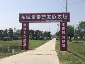 吃瓜界首太和,探寻瓜界传奇背后的故事