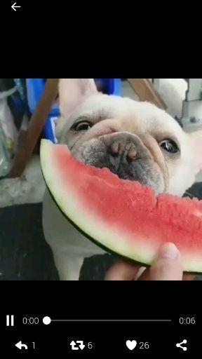 qq吃瓜聊免费,免费畅享娱乐盛宴的秘密