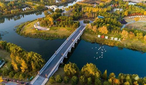 东洲公园吃瓜,消暑解馋的悠闲时光