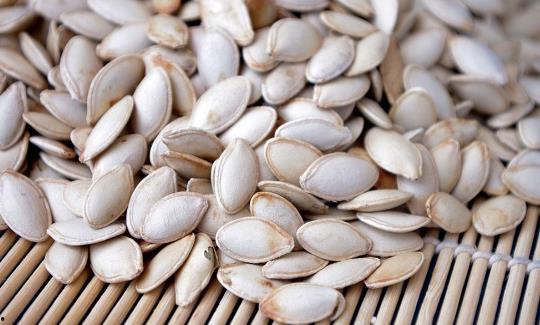 北方人吃瓜吃籽吗,籽在口中，乐趣无穷