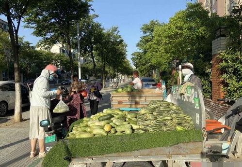 宿迁学校吃瓜,揭秘校园食品安全背后的真相
