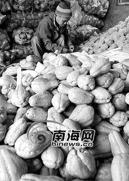 吃佛手瓜有一点坏了,如何巧妙应对？