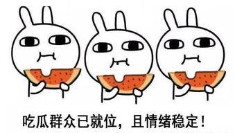 吃瓜人必备语录,揭秘娱乐圈幕后真相