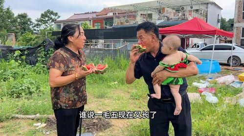 钢镚吃瓜视频,揭秘网络短视频背后的娱乐现象