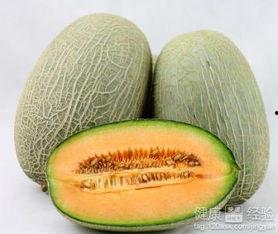 吃哈密瓜可以吃马蹄吗,探索夏日消暑美食的奇妙搭配