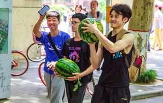 学员吃瓜视频全集,学员视角下的娱乐圈风云录