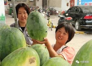 乌海小区吃瓜视频,邻里琐事引发网友热议