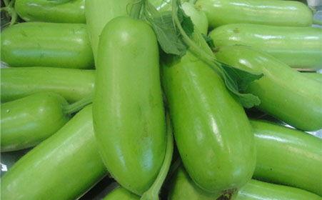 吃蒲瓜会胖吗,吃蒲瓜真的会发胖吗？