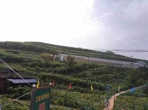 小北湖最新吃瓜事件