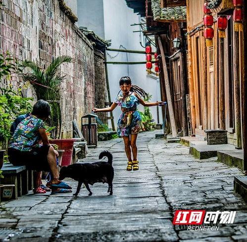 小巷人家吃瓜名场面,一场吃瓜名场面的欢乐时光