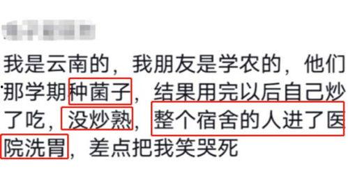 带你吃瓜来看搞笑标志,揭秘搞笑标志背后的趣味故事