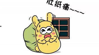 吃瓜群众来相会,一场欢乐的相遇盛宴