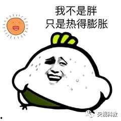 吃瓜顶呱呱头像,揭秘网络红人背后的故事