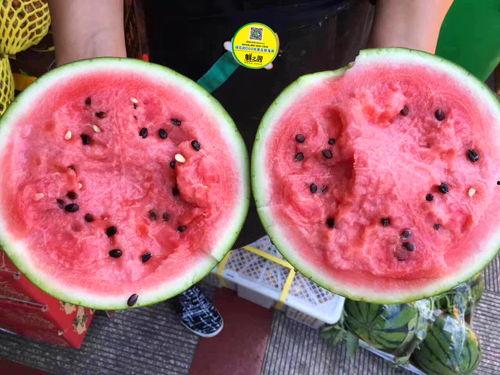 西瓜蜜瓜怎么吃,西瓜蜜瓜的创意吃法大盘点