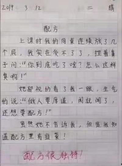 带你吃瓜小学生作文视频