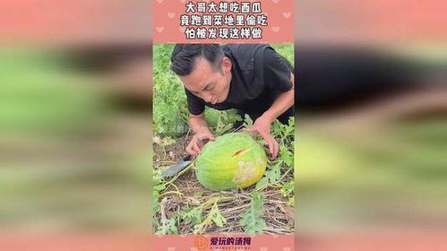 吃瓜到地里来