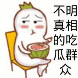 会长请吃瓜,揭秘神秘组织的幕后故事